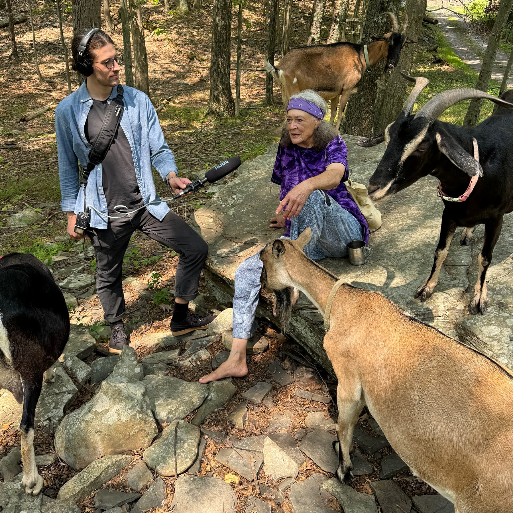 Joshua Graber interviewing Susun Weed outdoors amongst her goats